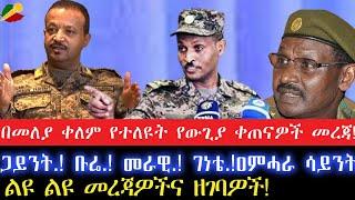 በመለያ ቀለም የተለዩት የውጊያ ቀጠናዎች መረጃጋይንት. ቡሬ. መራዊ. ገነቴ.ዐምሓራ ሳይንት.2 October 2024