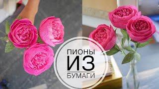 Paper peony  Пион из бумаги  ПРОСТО И КРАСИВО  DIY TSVORIC