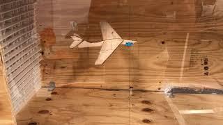 Free flight wind tunnel test