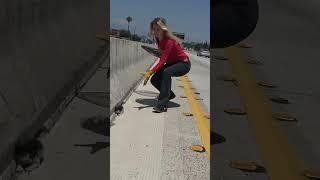 Kitten on the freeway needs a Christmas Miracle to survive