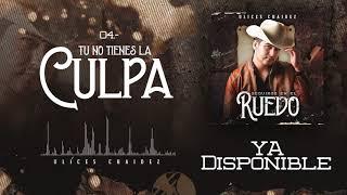 Tu No Tienes La Culpa - Ulices Chaidez - DEL Records 2020