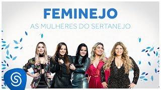 Feminejo As Mulheres do Sertanejo - Mix Sertanejo 2019