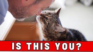 5 Unmistakable Signs That You Are a Great Cat Parent Your Cat Secretly Thanks You