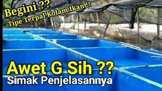 Kolam Ikan Yang Bagus untuk Budidaya Ikan