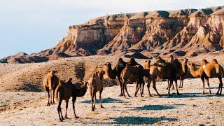 Must See Mongolia The Mongolian Gobi 4K Aerial Film