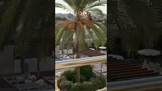 Sumus Stella Hotel and Spa Pineda de Mar Spain 2021