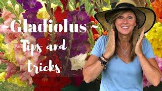 Gladiolus Tips and Tricks  Kelly  Lehman