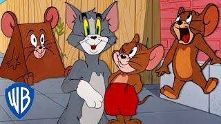 Tom & Jerry  Best of Jerry Mouse   Classic Cartoon Compilation  @wbkids​