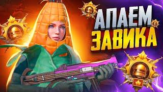 ДОБИВАЕМ ЗАВОЕВАТЕЛЯ В PUBG MOBILE  848 МЕСТО В ЕВРОПЕ  РОЗЫГРЫШ UC В ЧАТЕ  1218ZAKONVVORE