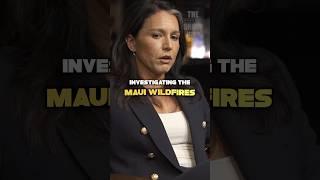 What Tulsi Gabbard Found on the Maui Wildfires