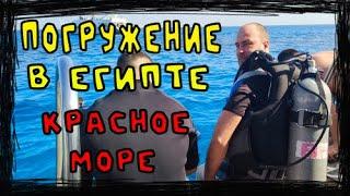 Дайвинг первое погружение в Красном море. Египет экскурсия стоимость и обед