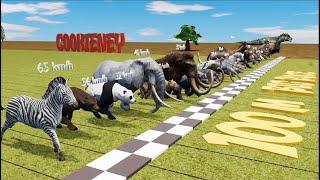 Big Race 30 Wild Animals which is the fastest animal?  CookieNey