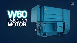 WEG - W60 induction motor