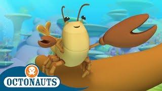 #StayHome Octonauts - The Snapper Shrimp  Full Episodes  Cartoons for Kids