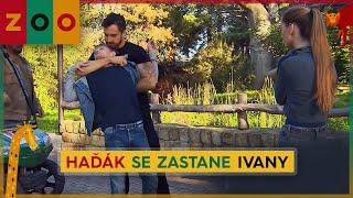 ZOO 158 - Haďák se zastane Ivany ukázka z dílu