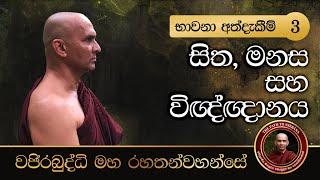 භාවනා අත්දැකීම් - 3 සිත මනස සහ විඥ්ඥානය අතිපූජනීය මහනුවර වජිරබුද්ධි මහ රහතන්වහන්සේ.