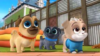 Puppy Dog Pals - Season 5 - All Songs