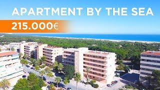 Apartment by the sea   Apartment just 300 meters from La Mata beach and completely renovated