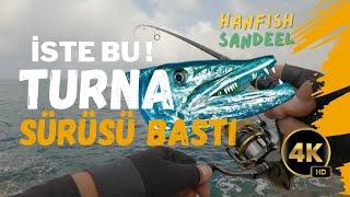 Antalya Kıyıları LRF Balık Avı Sarı Turna Yakalama Teknikleri ve Hanfish Sandeel Kullanımı