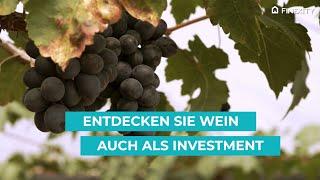 Nutzen Sie Wein als Investment. Investieren Sie in erlesene Weine  Alternative Investments