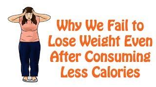 12. Calculating Daily Calorie Needs Accurately