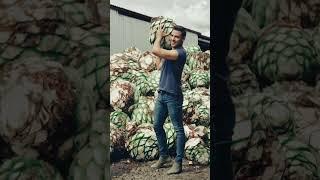 Haciendo brazo con las piñas de mi mezcal Santo Gusano 