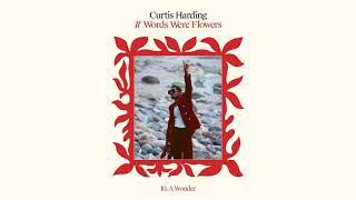 Curtis Harding - Its A Wonder Full Album Stream