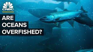 How The U.S. Went From Overfishing To Underfishing