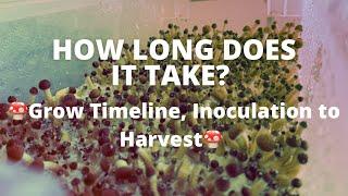  How Long Does it Take to Grow Mushrooms?  Most Accurate Timeline