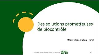 Des solutions prometteuses de biocontrôle
