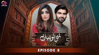 Teri Meri Kahani  Yehi to Pyar hai - Episode 8  Rizwan Ali Jaffri & Zoya Nasir  Pakistani Drama