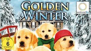 Golden Winter - Wir suchen ein Zuhause HD Weihnachtsfilm  deutsch