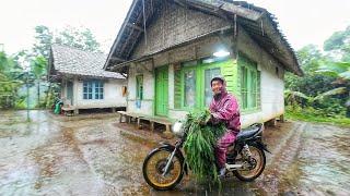 WAH SEENAK INI HUJAN TURUN DI DESA YANG INDAH SUASANA PELOSOK KAMPUNG SUNDA JAWA BARAT INDONESIA