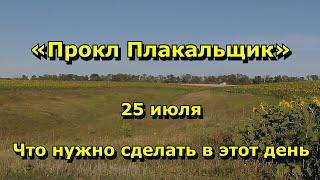 Народный праздник «Прокл Плакальщик». 25 июля. Что нужно делать в этот день