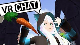 VRCHAT - ДЕВУШКА КОТОРАЯ ЛЮБИТ МОРКОВЬ  ВР ЧАТ МОНТАЖ