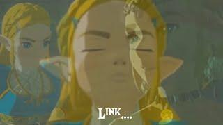 TOTK Zelda Catches You w Purah