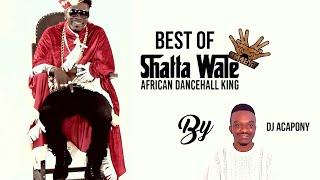 BEST OF SHATTA WALE VIDEO MIX BY DJ ACAPONY