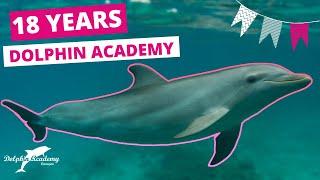 HAPPY BIRTHDAY Dolphin Academy  18 years #13