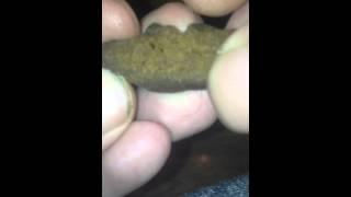 Zero zero. Hash porn