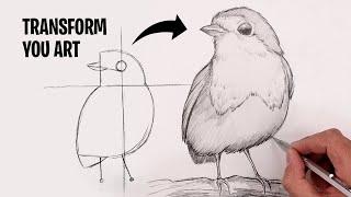 How To Draw American Robin  Bird Sketch Tutorial