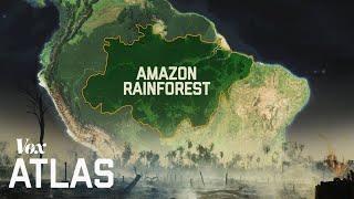 The destruction of the Amazon explained