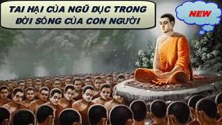 Tai Hại Của Ngũ Dục Trong Đời Sống Con Người_Những Lời Phật Dạy