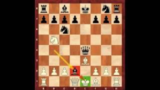 Chess for Beginners. Chess Openings #18. Scotch Game. Eugene Grinis. Chess