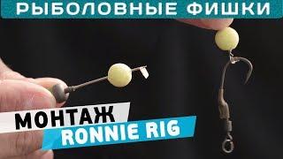 Особенности монтажа Ronnie Rig Как правильно вязать монтаж? Рыболовные фишки