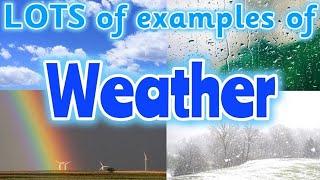 TYPES OF WEATHER for kids ️️ Can you name different types of weather? Miss Ellis #weather