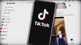 Inside TikToks terms of service