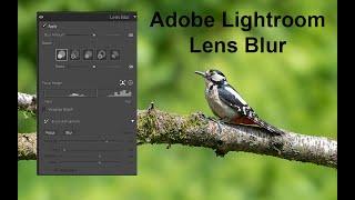 Adobe Lightroom Lens Blur tool