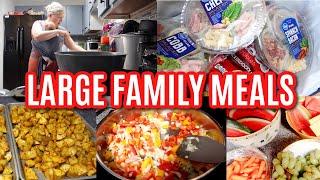 LARGE FAMILY MEALS ON VACATION  EASY RECIPES Sheet Pan Breakfasts Instant Pot Dinners lots