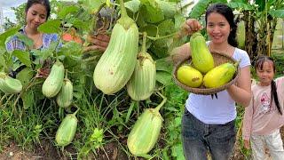 Unexpectedly I planted a giant eggplant in the backyard vegetable garden