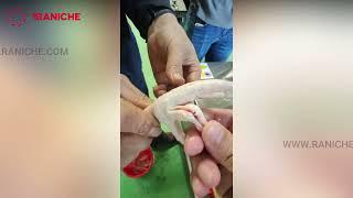 Qingdao Raniche Chicken Feet Processing Line Chicken Feet Machine Chicken Claw Deboning Machine